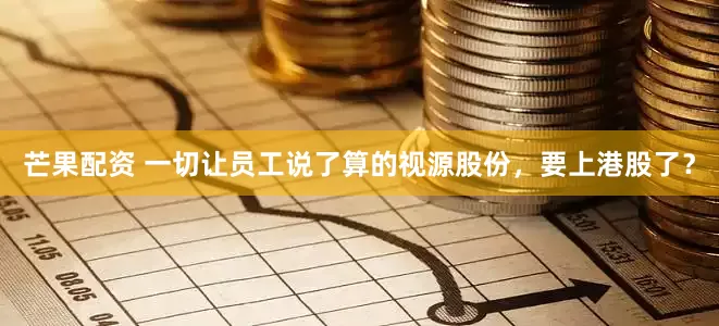 芒果配资 一切让员工说了算的视源股份，要上港股了？