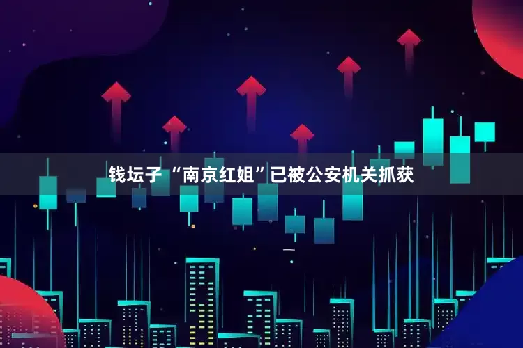 钱坛子 “南京红姐”已被公安机关抓获