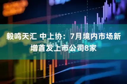 毅鸣天汇 中上协：7月境内市场新增首发上市公司8家